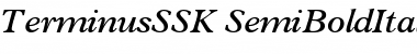 TerminusSSK SemiBoldItalic Font