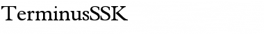 TerminusSSK Font