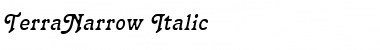 TerraNarrow Italic Font