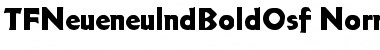 TFNeueneulndBoldOsf Font