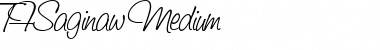 TFSaginaw Medium Font