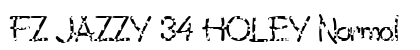 FZ JAZZY 34 HOLEY Normal preview