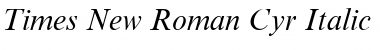 Times New Roman Cyr Italic Font