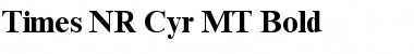 Download Times NR Cyr MT Font