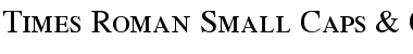 Times SC Regular Font Times SC Regular Font