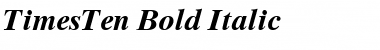 TimesTen BoldItalic Font