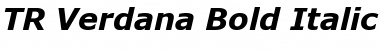 TR Verdana Bold Italic Font