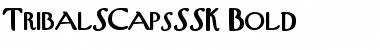 TribalSCapsSSK Bold Font