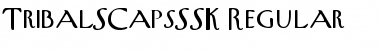 TribalSCapsSSK Regular Font