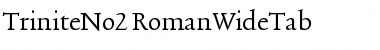 TriniteNo2 Roman Font TriniteNo2 Roman Font