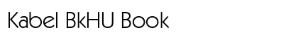 Kabel BkHU Book preview