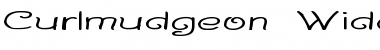 Download Curlmudgeon Wideside Font Download Curlmudgeon Wideside Font