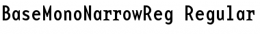 Download BaseMonoNarrowReg Font