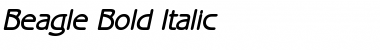 Beagle Bold Italic Font