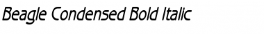 Beagle Condensed Bold Italic Font