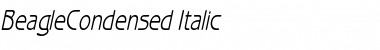 BeagleCondensed Italic Font