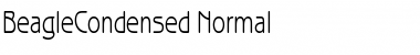 BeagleCondensed Normal Font