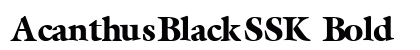 AcanthusBlackSSK Bold preview