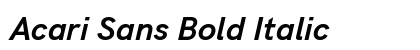 Acari Sans Bold Italic preview