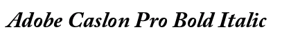 Adobe Caslon Pro Bold Italic preview