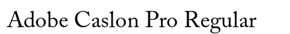 Adobe Caslon Pro Regular Preview
