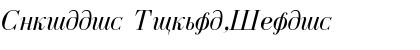 Cyrillic Normal-Italic Font