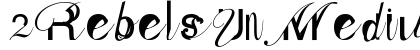 2RebelsUn Medium preview