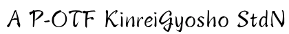A P-OTF KinreiGyosho StdN Reg preview