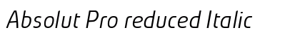Absolut Pro reduced Italic Preview