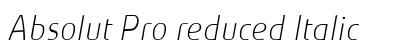 Absolut Pro reduced Italic Preview