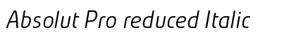 Absolut Pro reduced Italic Preview