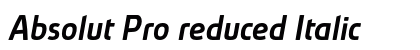 Absolut Pro reduced Italic Preview