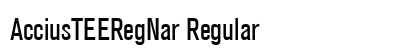 AcciusTEERegNar Regular preview