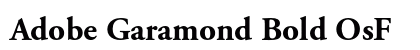Adobe Garamond Bold OsF Preview
