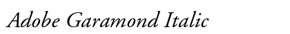 Adobe Garamond Italic Preview
