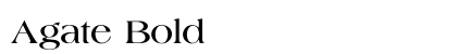 Agate Bold preview