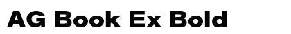AG Book Ex Bold preview