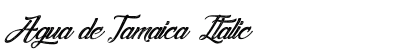 Agua de Jamaica Italic preview