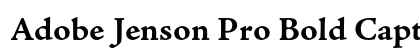 Adobe Jenson Pro Bold Caption Preview