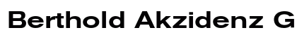 Berthold Akzidenz Grotesk BE Medium Extended Preview