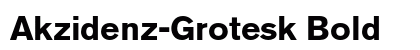 Akzidenz-Grotesk Bold preview