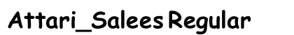 Attari_Salees Regular preview