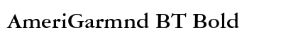 AmeriGarmnd BT Bold Preview