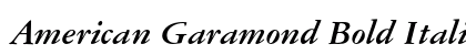 American Garamond Bold Italic Preview