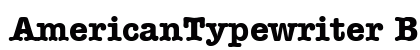 AmericanTypewriter Bold preview