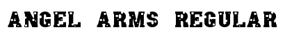 Angel Arms Regular preview