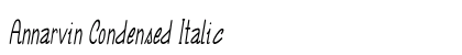 Annarvin Condensed Italic preview