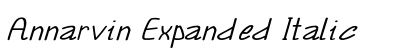 Annarvin Expanded Italic Preview