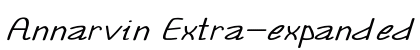 Annarvin Extra-expanded Italic preview