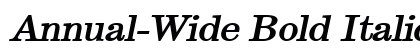 Annual-Wide Bold Italic Preview